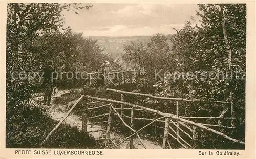 AK / Ansichtskarte Luxembourg Sur la Goldfralay Luxembourg