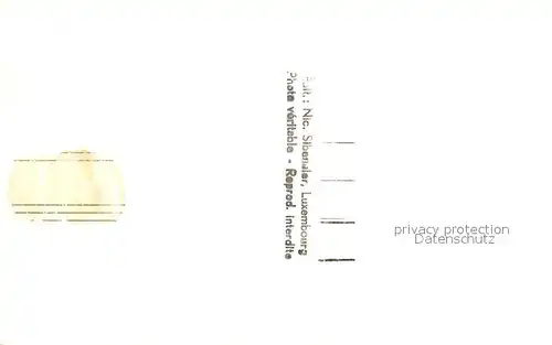 AK / Ansichtskarte Esch sur Sure Les Ruines Esch sur Sure