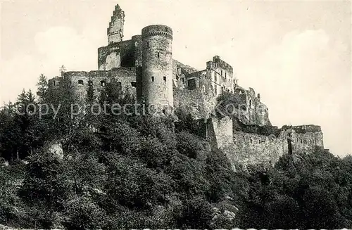 AK / Ansichtskarte Vianden Le Chateau Vianden