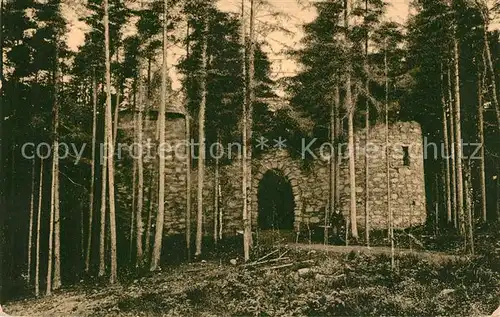 AK / Ansichtskarte Stribrna_Silberbach Partie u hradu v panskem lese Stribrna Silberbach
