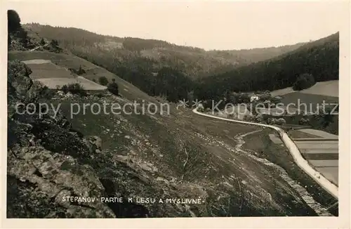 AK / Ansichtskarte Stepanov Partie k lesu a myslivne Stepanov