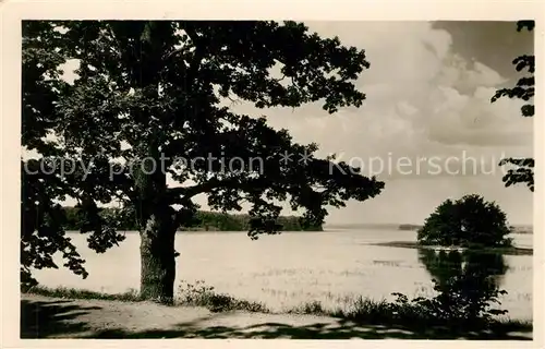 AK / Ansichtskarte Trebon rybnik Svet Trebon