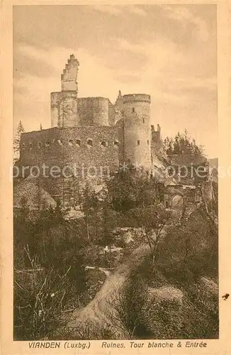AK / Ansichtskarte Vianden Ruines Tour blanche et Entree Vianden