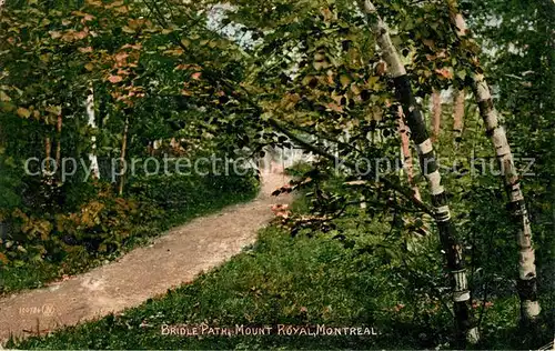 AK / Ansichtskarte Montreal_Quebec Bridle Path Mount Royal Montreal Quebec