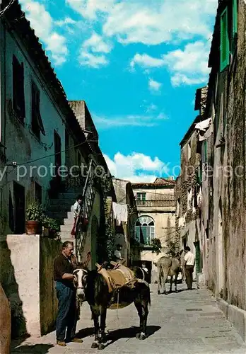 AK / Ansichtskarte Sant_Ilario Citta vecchia Altstadt Gasse Sant_Ilario