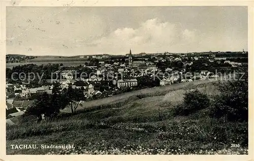 AK / Ansichtskarte Tachau Stadtansicht Tachau