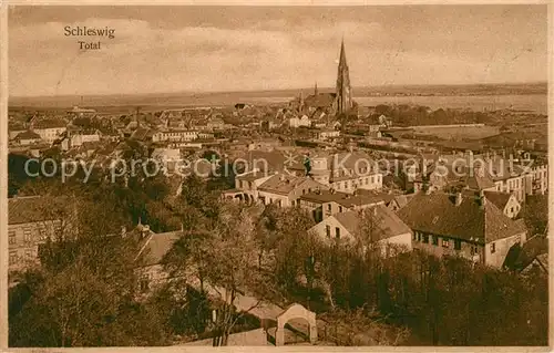 AK / Ansichtskarte Schleswig_Schlei Stadtblick Schleswig_Schlei