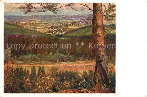 AK / Ansichtskarte Cesky_Meran Vyhled od Cunkova 