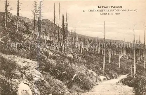 AK / Ansichtskarte Hartmannswillerkopf Aspect de la Foret Hartmannswillerkopf