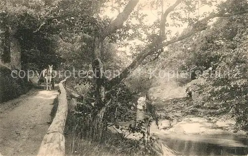 AK / Ansichtskarte Malmoe Klyftan Schlucht Landschaftspanorama Malmoe