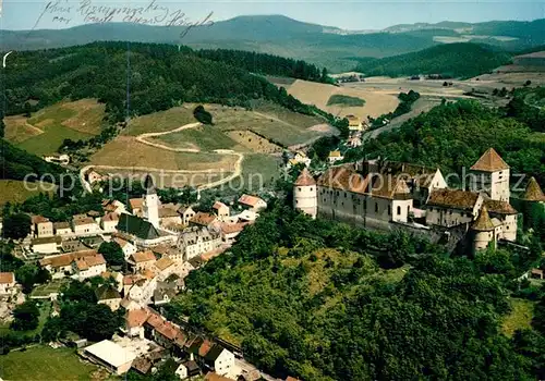 AK / Ansichtskarte Woerth_Donau Fliegeraufnahme mit Schloss Woerth Donau