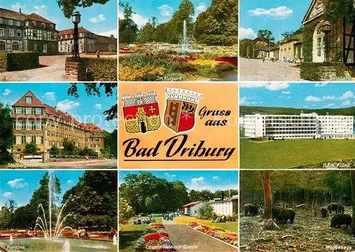 AK / Ansichtskarte Bad_Driburg Kurhaeuser Kurpark Trinkhalle Stellbergheim BfA Klinik Fontaene Wildgehege Bad_Driburg