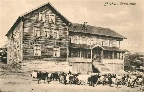 AK / Ansichtskarte Daenemark Skiaker Grjotlid Hotel Daenemark