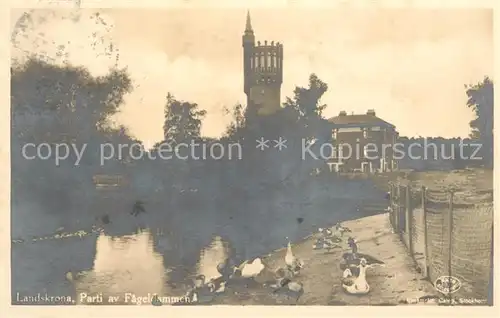 AK / Ansichtskarte Landskrona Parti av Fageldammen Landskrona