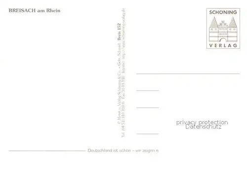 AK / Ansichtskarte Breisach_Rhein Stadttor Muenster Rheinpartie Breisach Rhein