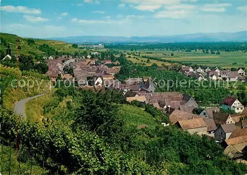 AK / Ansichtskarte Wasenweiler am Kaiserstuhl Wasenweiler