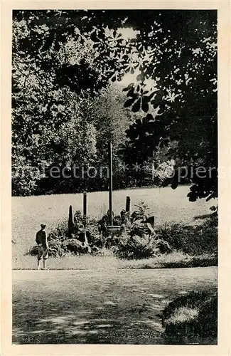 AK / Ansichtskarte Leipa_Boehmen Stadtpark Leipa Boehmen