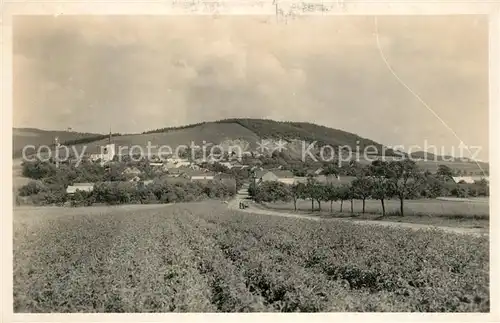 AK / Ansichtskarte Bilavska  