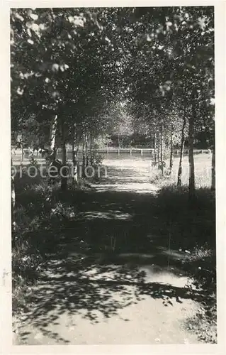 AK / Ansichtskarte Bohdanec Lazne Partie z parku Bohdanec