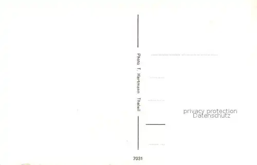 AK / Ansichtskarte Aegerisee  Aegerisee