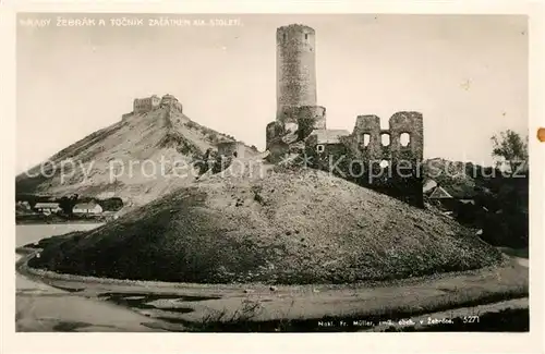 AK / Ansichtskarte Tocnik_Krivokltsko Zebrak Tocnik Krivokltsko