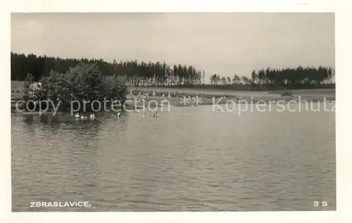 AK / Ansichtskarte Zbraslavice Partie am See Zbraslavice