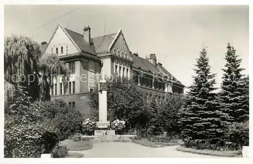 AK / Ansichtskarte Ceska_Trebova Denkmal Ceska Trebova