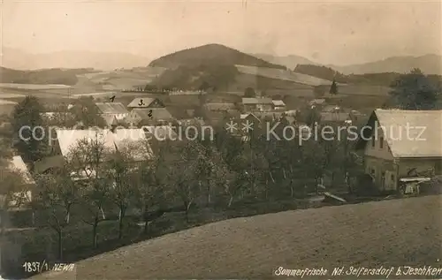 AK / Ansichtskarte Nieder_Seifersdorf Panorama Nieder Seifersdorf