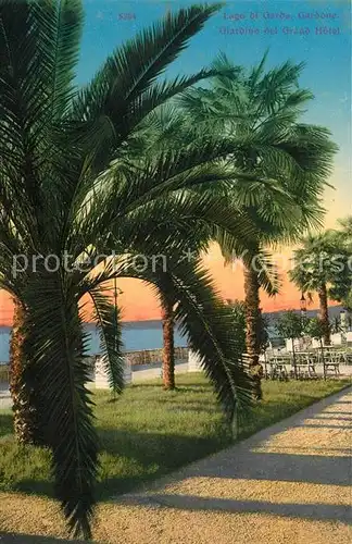 AK / Ansichtskarte Gardone_Lago_di_Garda Giardini del Grand Hotel Palmen Gardone_Lago_di_Garda