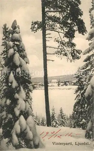 AK / Ansichtskarte Ljusdal Vinterparti Winterlandschaft Ljusdal