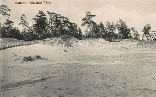 AK / Ansichtskarte Olla hau Duenen Wald 