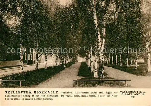 AK / Ansichtskarte Skelleftea Bjoerkalle Skelleftea