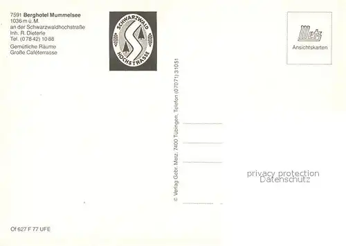AK / Ansichtskarte Mummelsee Berghotel Mummelsee