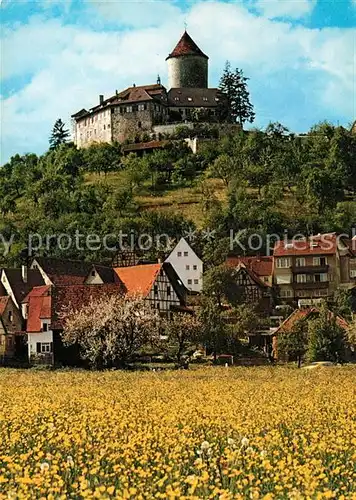 AK / Ansichtskarte Backnang Burg Reichenberg Backnang