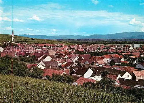 AK / Ansichtskarte Ihringen Panorama Ihringen