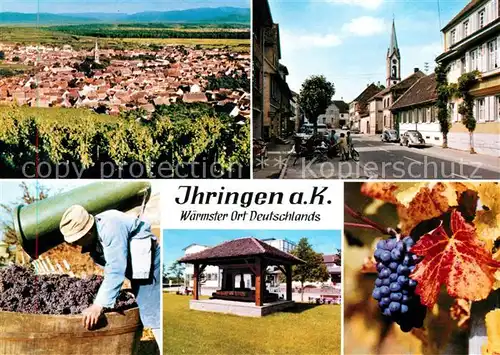 AK / Ansichtskarte Ihringen Panorama Dorfstrasse Weinlese Pavillon Ihringen