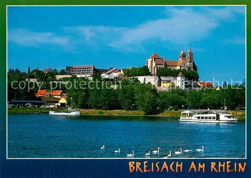 AK / Ansichtskarte Breisach_Rhein Stephansmuenster Rheinpartie Breisach Rhein