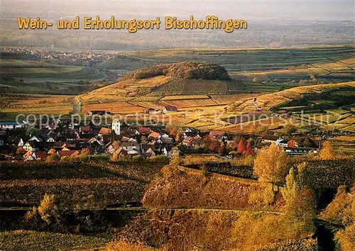 AK / Ansichtskarte Bischoffingen Fliegeraufnahme Bischoffingen