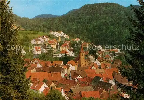 AK / Ansichtskarte Velden_Mittelfranken Ortsansicht Velden Mittelfranken