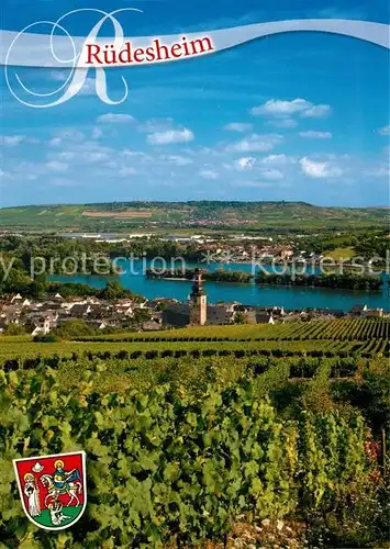 AK / Ansichtskarte Ruedesheim_Rhein Blick vom Weinberg Ruedesheim Rhein