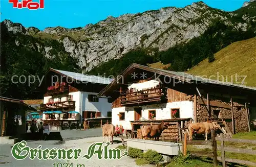 AK / Ansichtskarte Wilder_Kaiser Unterkunftshaus Griesneralm Wilder Kaiser