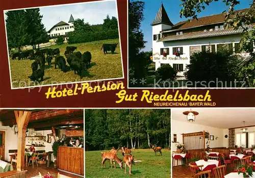 AK / Ansichtskarte Neureichenau Hotel Pension Gut Riedelsbach Wildpark Neureichenau