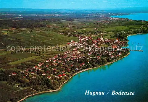 AK / Ansichtskarte Hagnau_Bodensee Weindorf Erholungsort Fliegeraufnahme Hagnau Bodensee