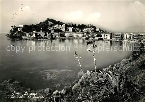 AK / Ansichtskarte Sestri_Levante Penisola da levante Sestri_Levante