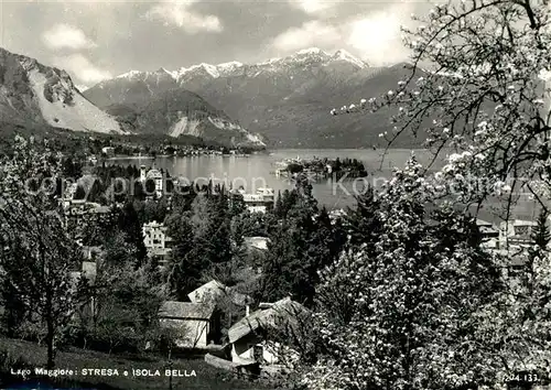 AK / Ansichtskarte Stresa_Lago_Maggiore Isola Bella Baumbluete Alpen Stresa_Lago_Maggiore