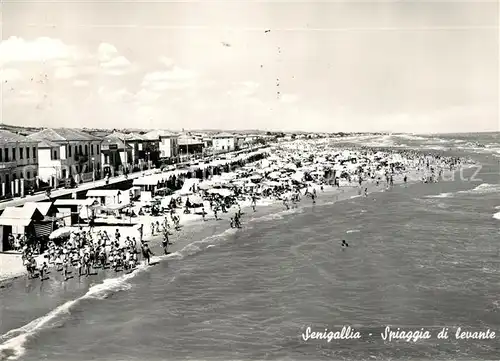 AK / Ansichtskarte Senigallia Spiaggia di levante veduta aerea Senigallia