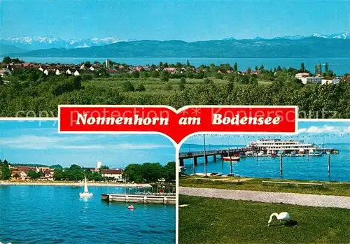 AK / Ansichtskarte Nonnenhorn Anlegestelle  Nonnenhorn
