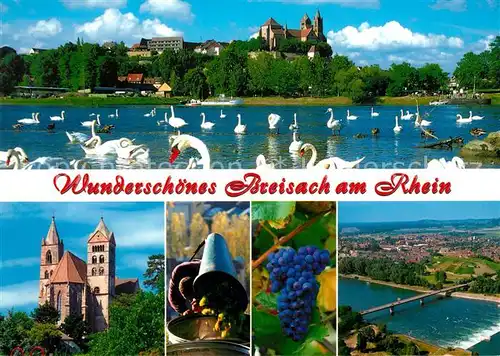 AK / Ansichtskarte Breisach_Rhein Stephansmuenster Weinlese Reben Fliegeraufnahme Breisach Rhein