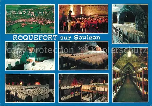 AK / Ansichtskarte Roquefort sur Soulzon Kaesekeller Fliegeraufnahme Ziegen Roquefort sur Soulzon