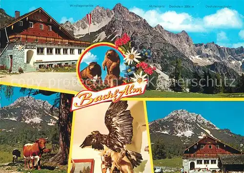 AK / Ansichtskarte Hachau_Ramsau Alpengasthof Bachlalm Hachau Ramsau